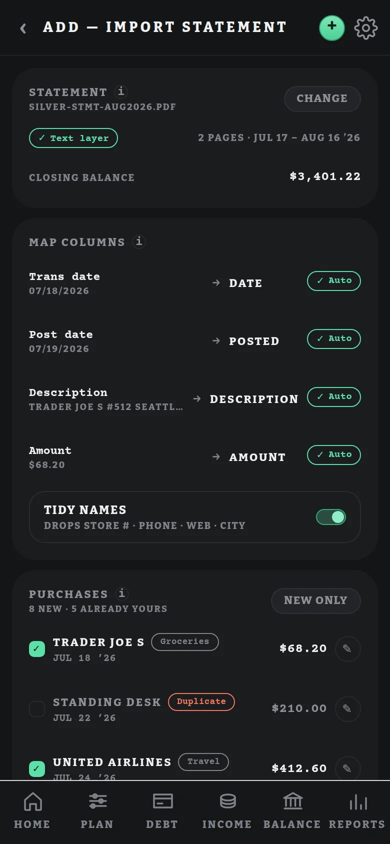 Import statement screen with auto-mapped columns and purchases
